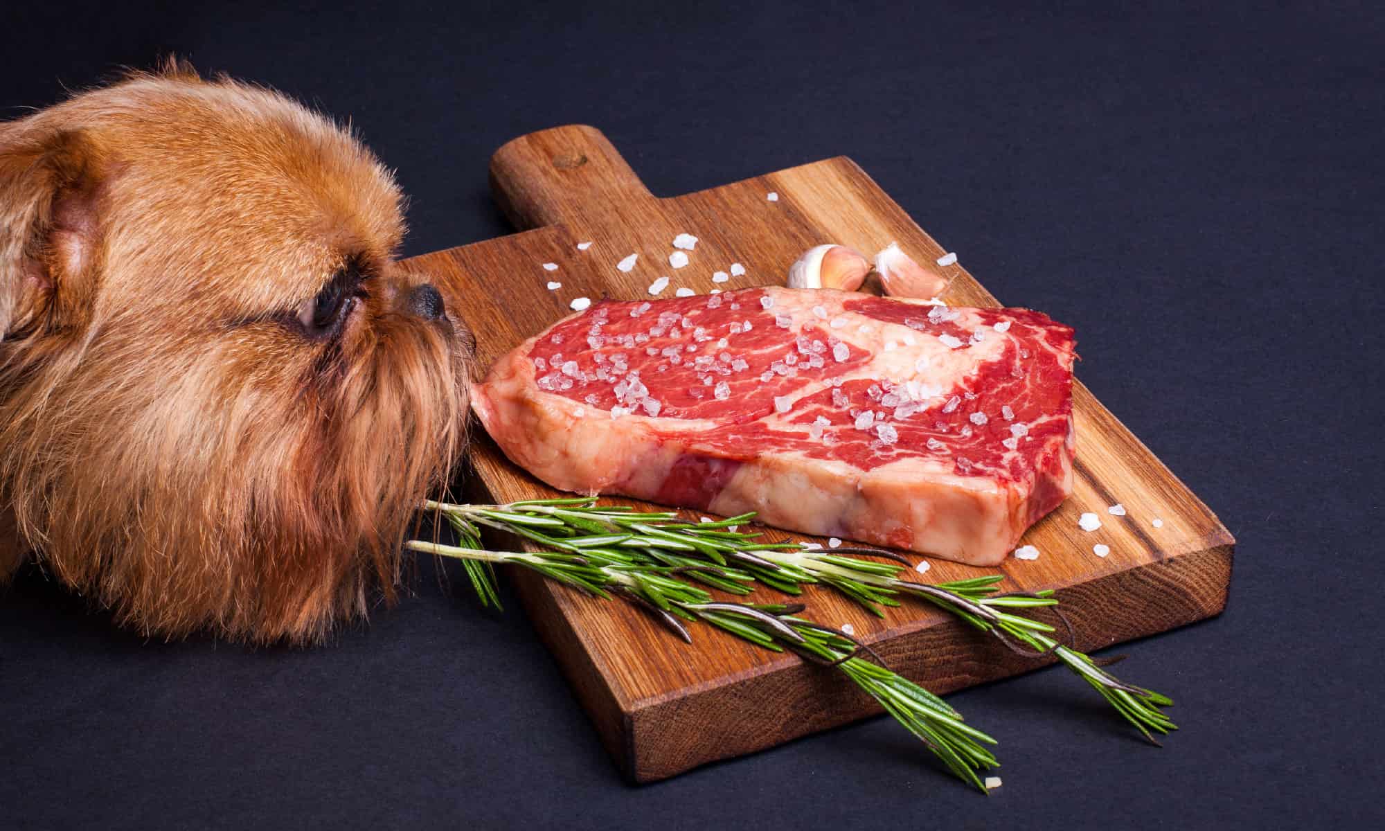 Can Dogs Eat Steak? How Much is Safe? – AZ Animals