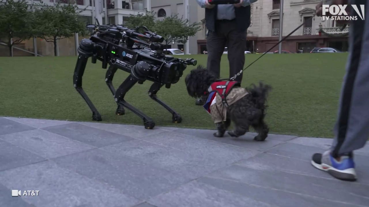 AT&T's new robotic dog visited Downtown Dallas and it looks like something straight out of Black Mirror – FOX 4 News Dallas-Fort Worth