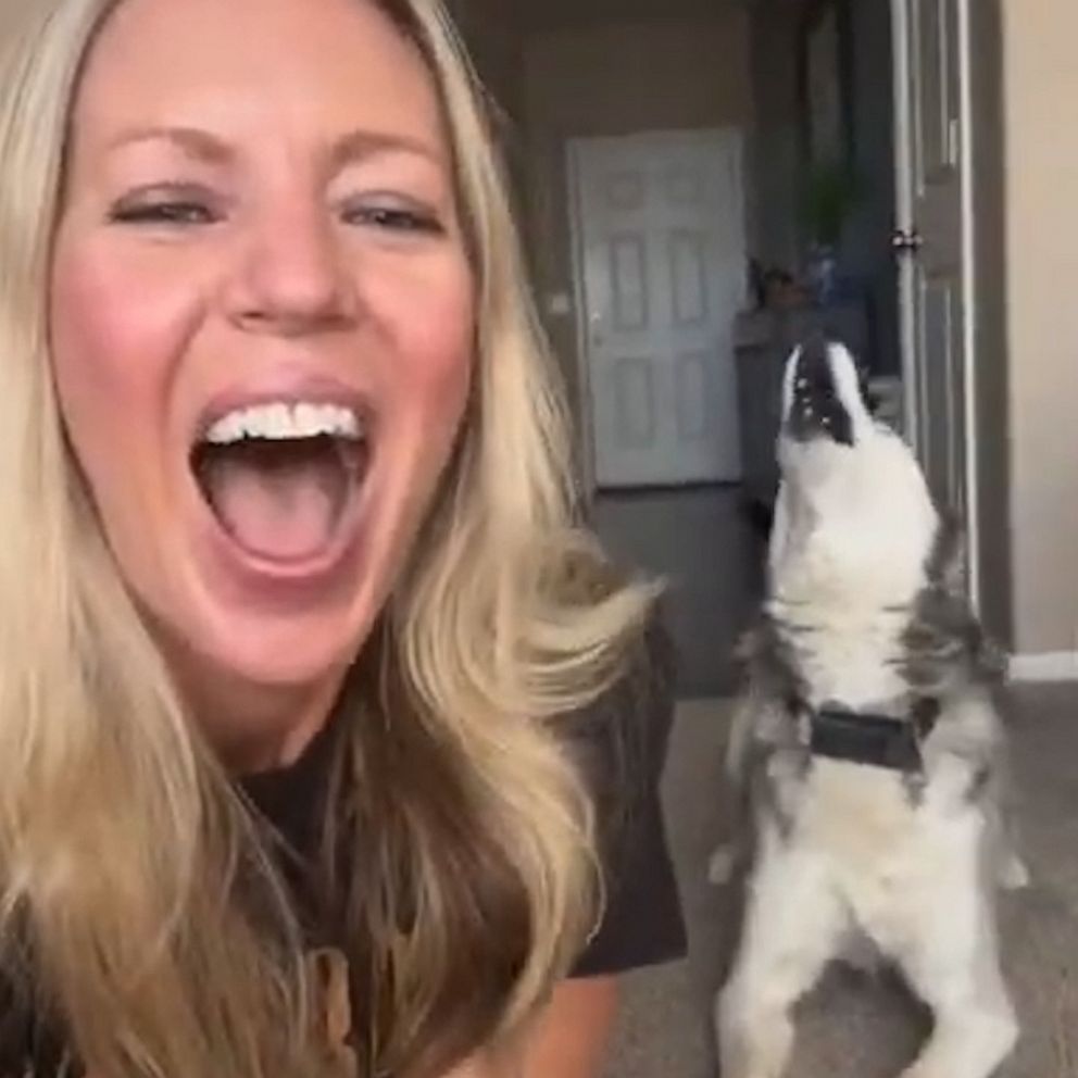 Mom sings Bon Jovi classic while dog joins in – GMA