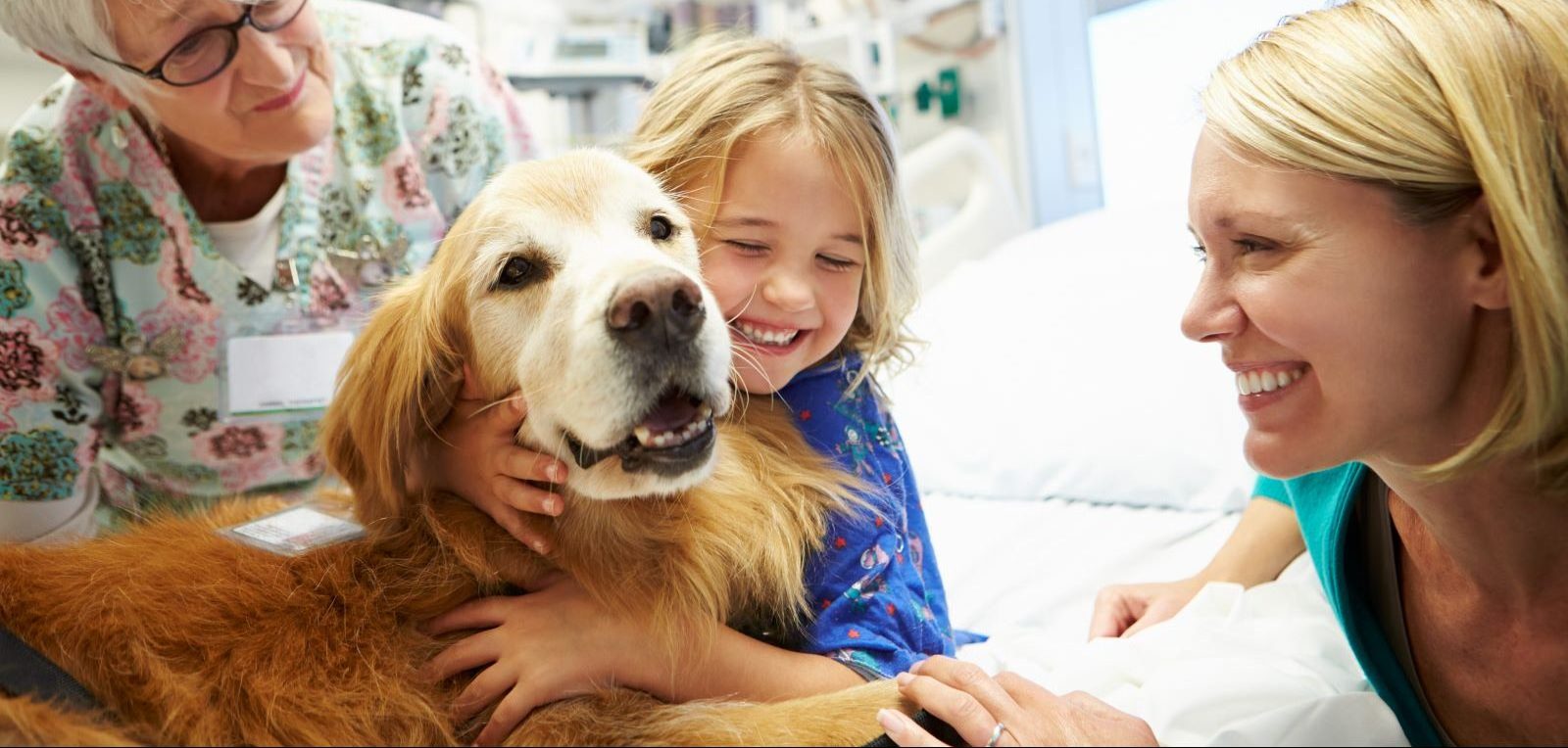 Paws for a Cause! Hartford HealthCare to Expand Therapy Dog … – Health News Hub