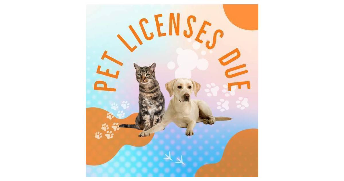 Make Your Pet Legal; 2023 Madison Pet Licenses Now Available – TAPinto.net