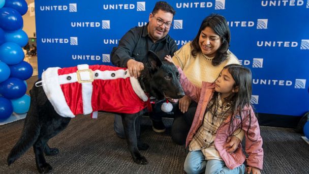 Pilot gives dog abandoned at airport a fur-ever home – GMA