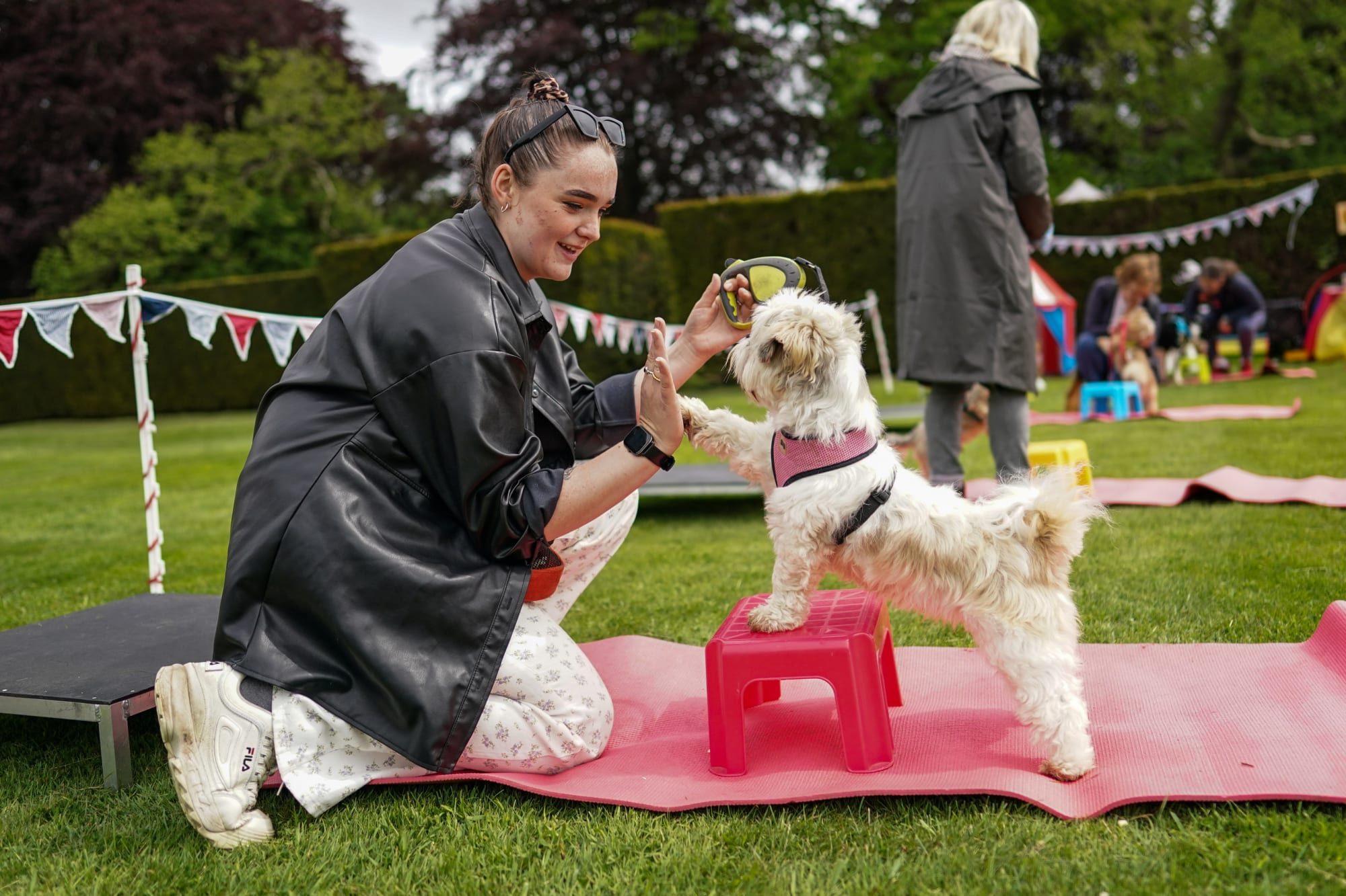 Basic dog training tips from the experts behind Link Smart Wearable Pet devices – Dog of the Day