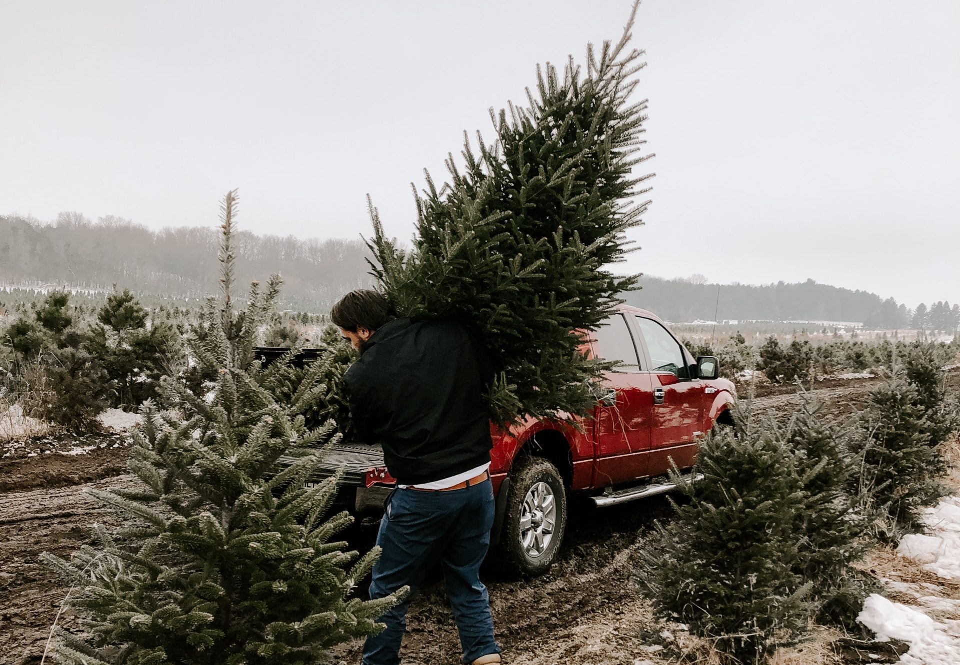 Friday headlines: Some Lowcountry farms want Christmas trees – Charleston City Paper