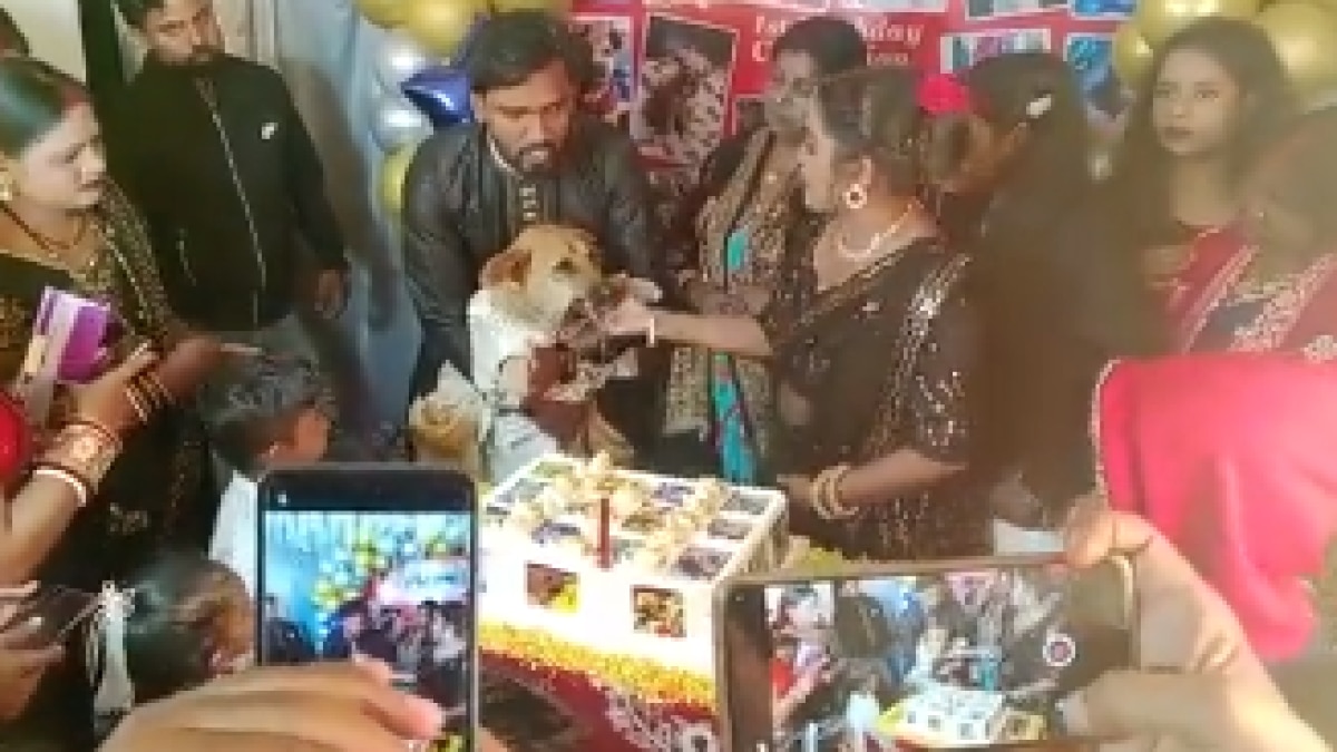 Dhanbad family celebrates pet dog’s birthday with 350 guests. Watch viral video – India Today