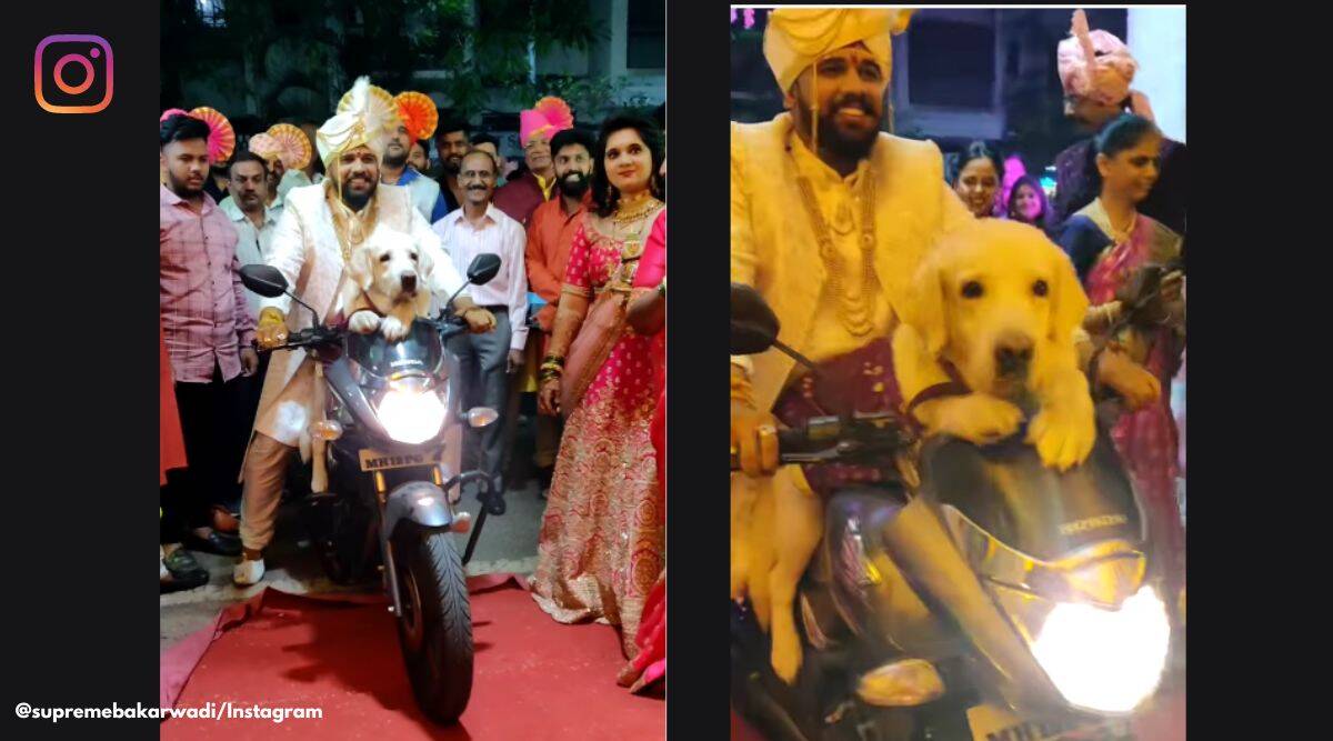 Groom arrives with pet dog on a bike, netizens call it 'best wedding entry ever' – The Indian Express