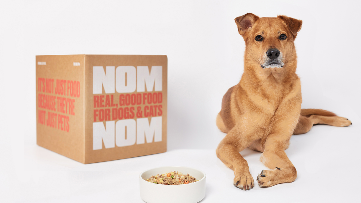 Take 50% Off Healthy Food for Dogs With a Two-week Trial of Nom Nom – The Inventory