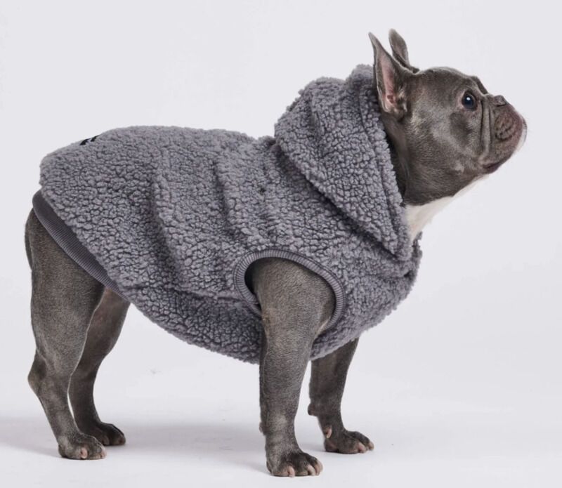 Stylish Sherpa Dog Jackets – Trend Hunter