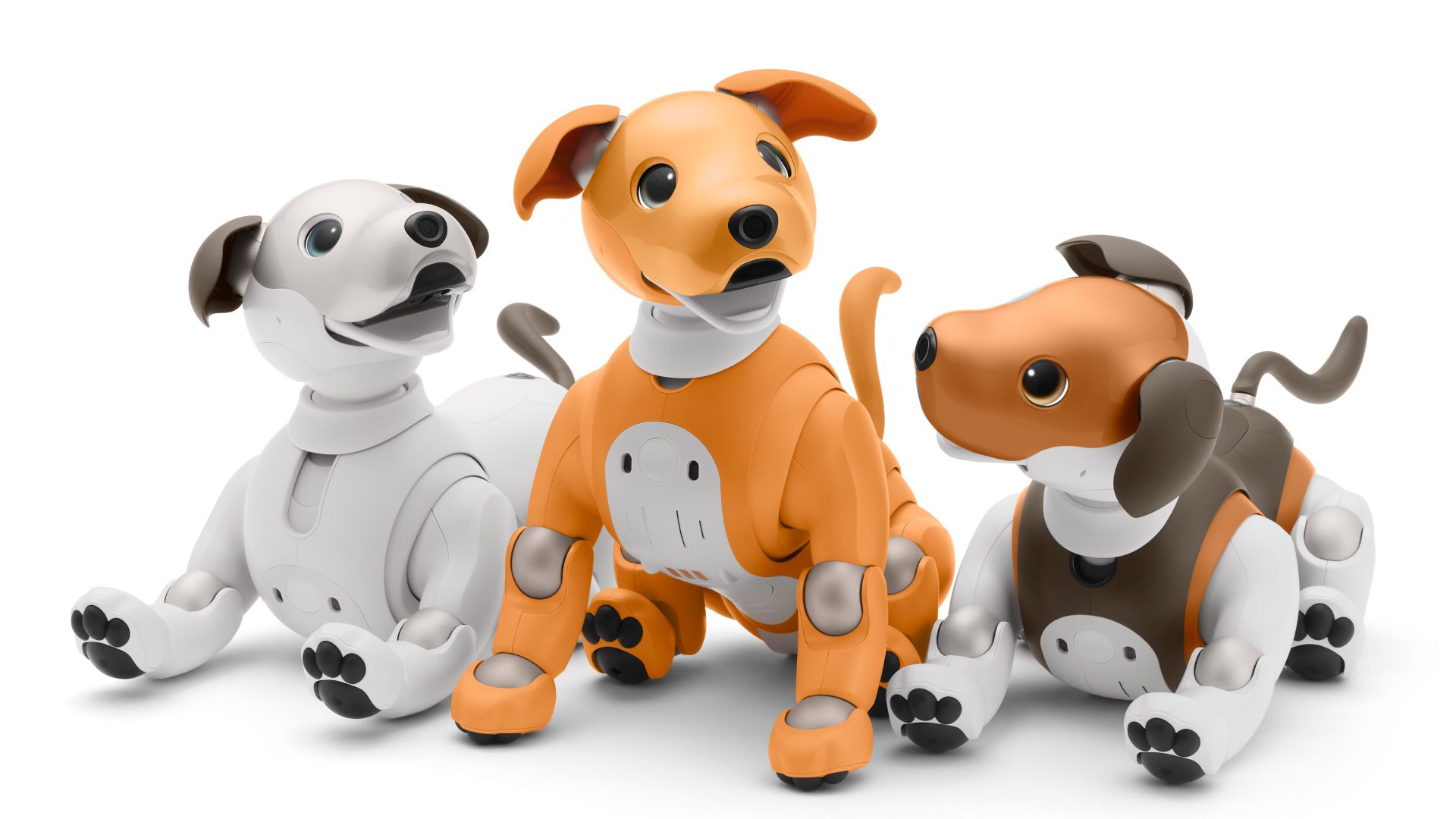 Pet robot concepts: 4 well-designed ideas – DesignWanted – DesignWanted