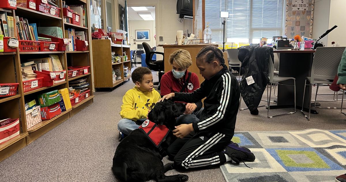 Southfield elementary school introduces pet therapy program for students – CBS News