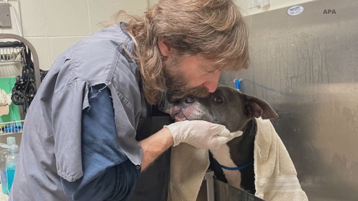 APA takes over St. Louis County Pet Adoption Center, makes changes on day 1 – KSDK.com