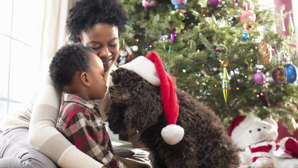 For the fur babies: Pet-perfect holiday gifts by Black-owned brands – Yahoo News