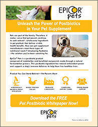 Unleash the Power of Postbiotics in Your Pet Supplement – Pet Food Processing