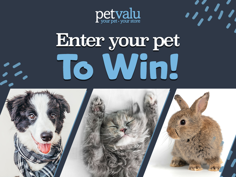 Pet Valu Perfect Pet Contest – December 2022 Submissions – DiscoverMooseJaw.com