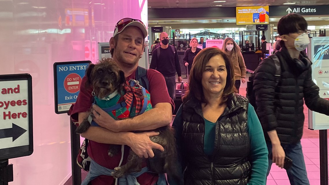 Dog lost for 7 months reunited with owner at Sacramento airport – ABC10.com KXTV