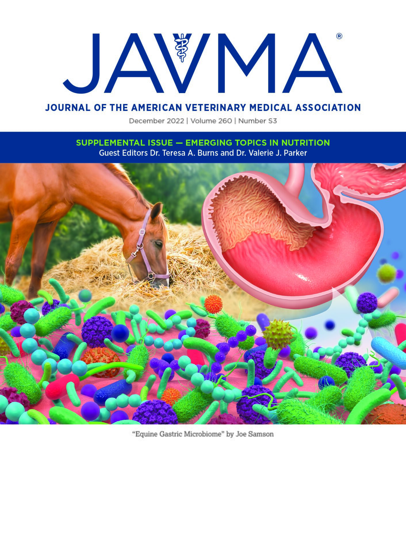 Weight measurements result in improved accuracy and precision in preparation of cooked homemade diets for dogs – American Veterinary Medical Association