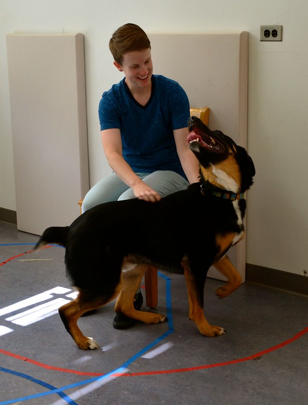 Pet parenting style influences dog behavior, Oregon State University … – Oregon State University