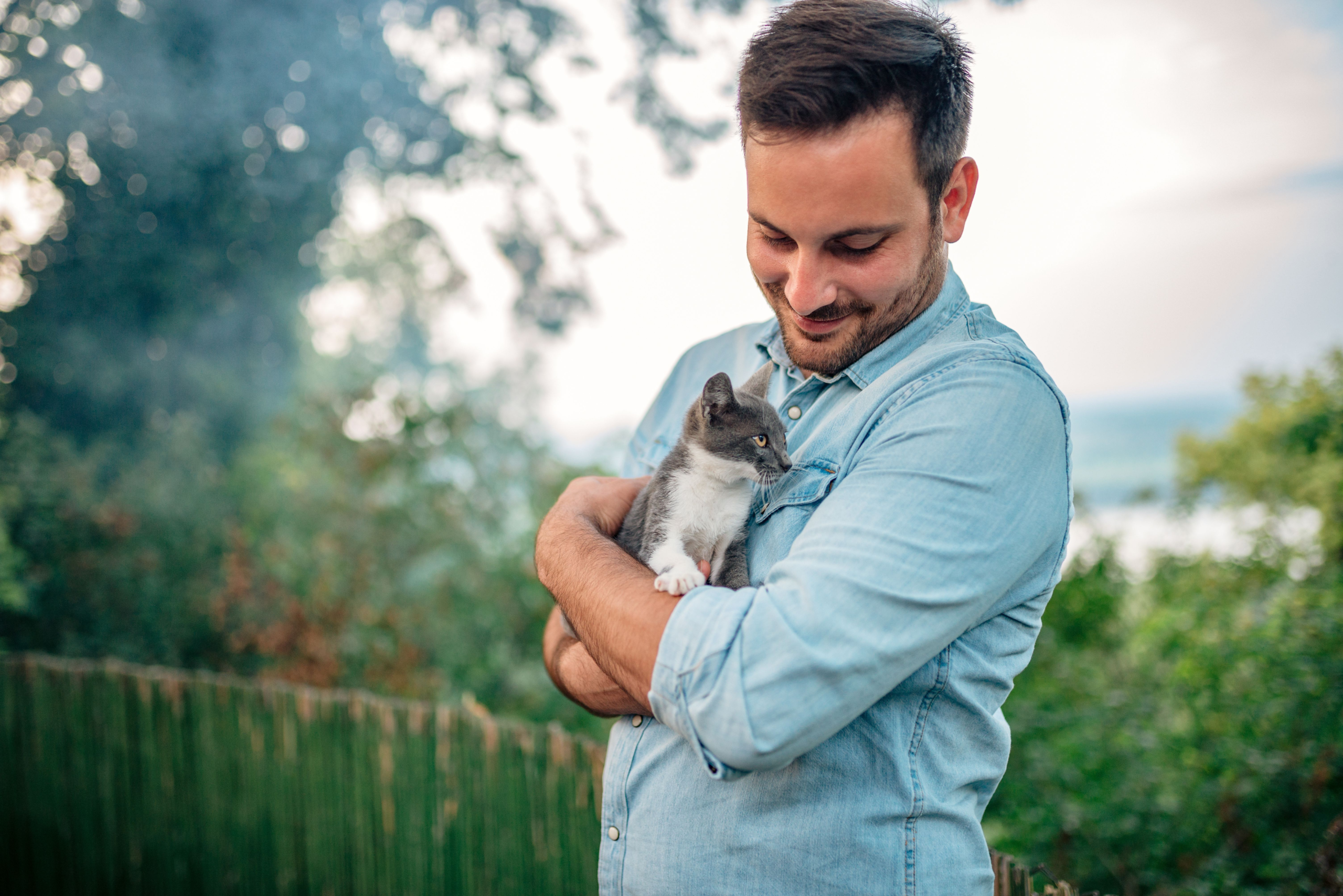 Nationwide and Adopt a Pet educate owners about the importance of pet insurance – DVM 360