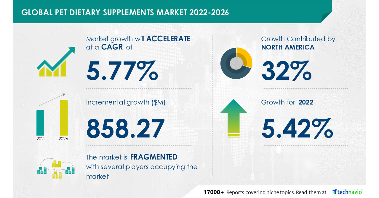 Pet Dietary Supplements Market: North America to account for 32 … – PR Newswire