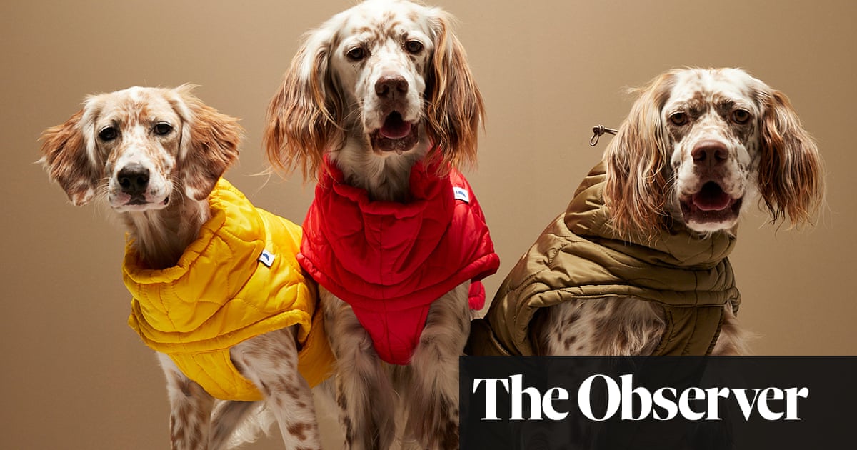 Tail-blazers: fashion houses turn to pet clothing as ‘humanisation’ trend grows – The Guardian