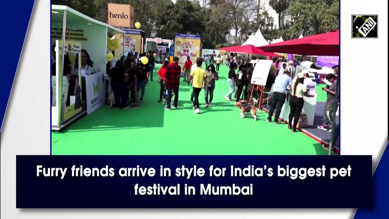 Furry friends arrive in style for India's biggest pet festival in Mumbai – Deccan Herald