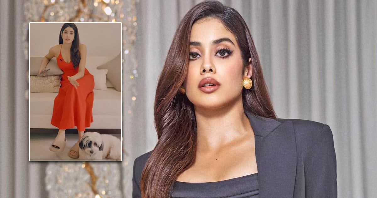 Janhvi Kapoor Shares About Her Pet Panda’s Fussy Eating Habits Online Asking For Suggestions To Rev Up His Appetite – Koimoi