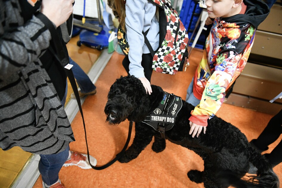 Gone to the Dogs? Schools Use Therapy Animals to Boost Mental … – Education Week