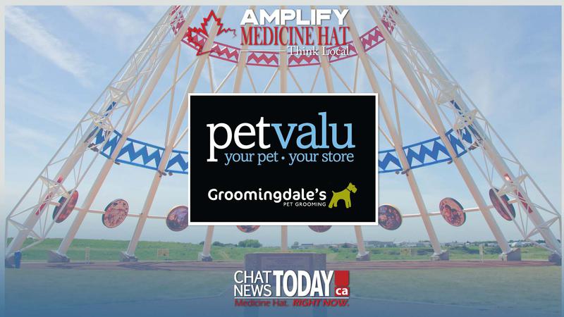 Amplify Medicine Hat – Pet Valu – CHAT News Today