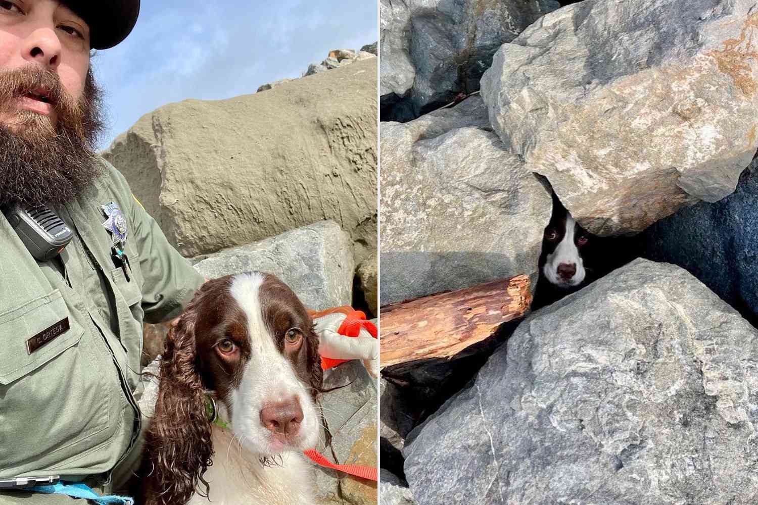 Jogger Helps Rescue Dog Buried Under Rocks on a San Francisco … – PEOPLE