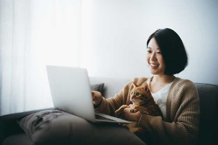 Chinese pet services platform New Ruipeng files for $100M US IPO – Seeking Alpha