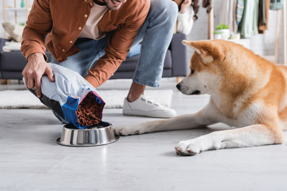 One step at a time: Ingredient validation – Pet Food Processing