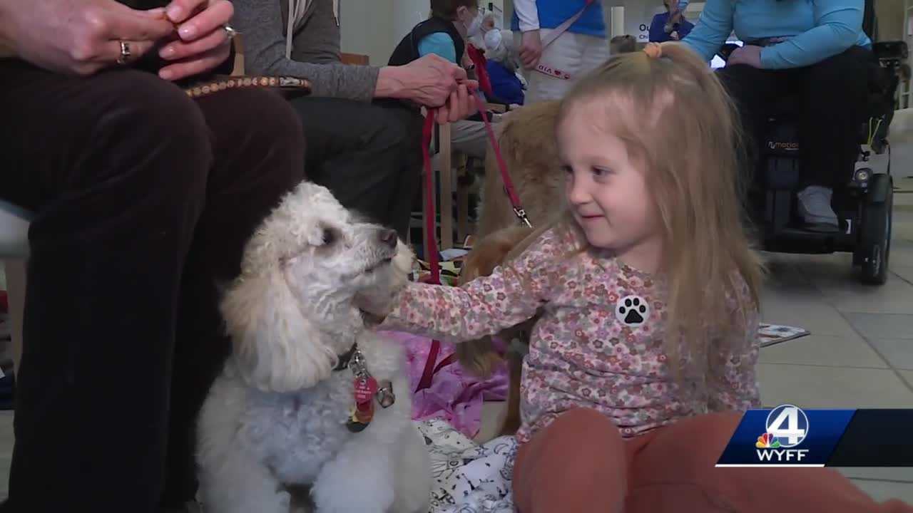 Upstate hospital celebrates partnership with therapy dog program – WYFF4 Greenville