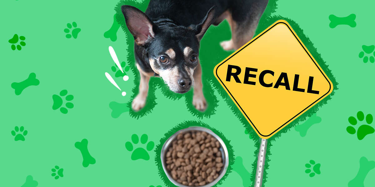 Every Dog Food Recall From 2021 To 2023 (So Far) – The Dodo