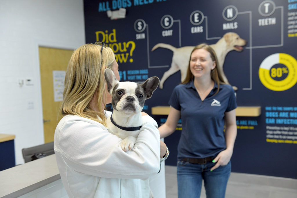 Dog Wellness Franchise Scenthound Reports Record-Breaking 2022 – Pet Age