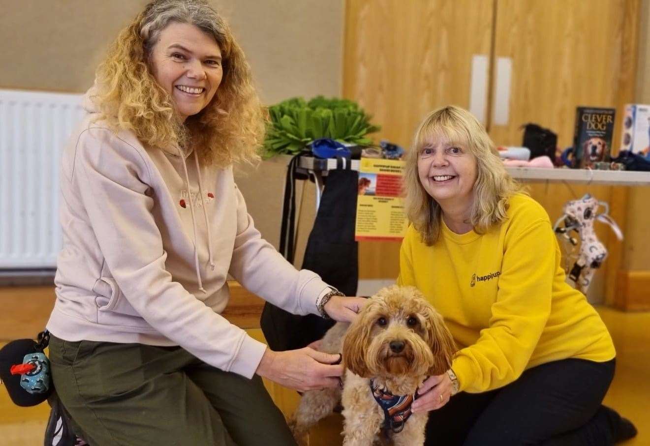 Dog trainer helps save pet owners money – Newbury Today