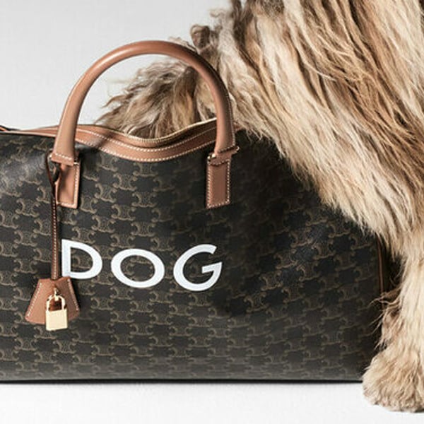 Celine launches a pet accessories line – News