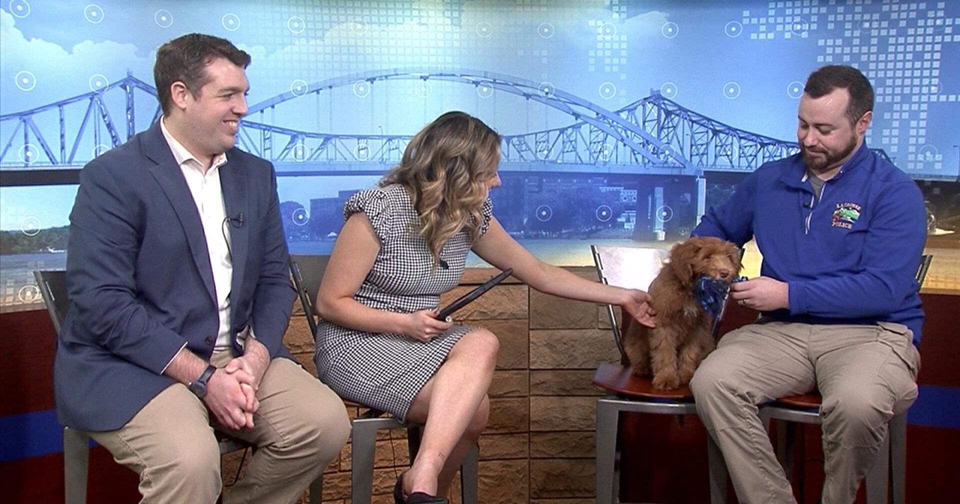 LCPD therapy dog 'Cheddar' visits Daybreak! | Community | wxow.com – WXOW.com