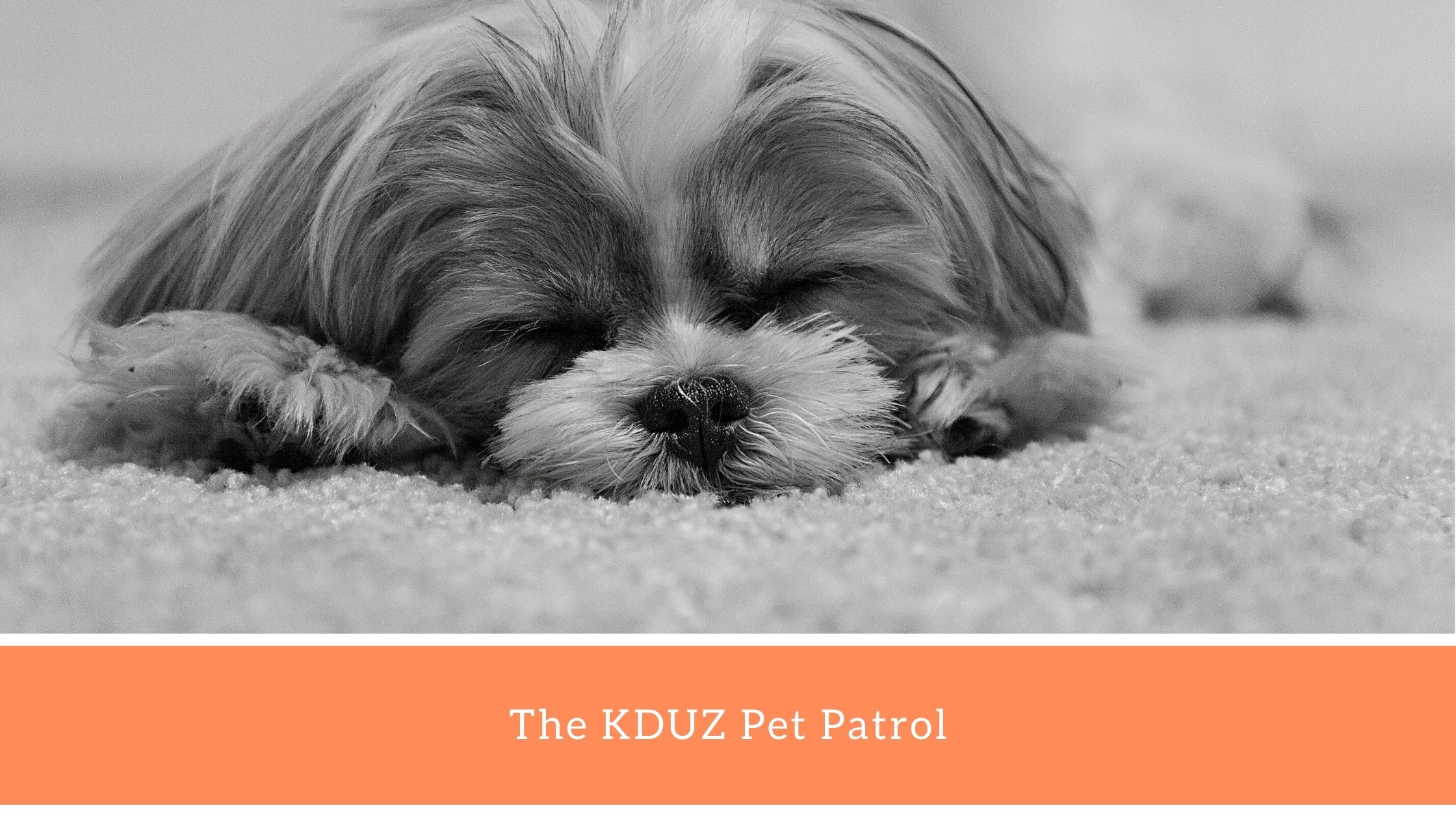 KDUZ Pet Patrol – January 6th – KDUZ/KARP Radio