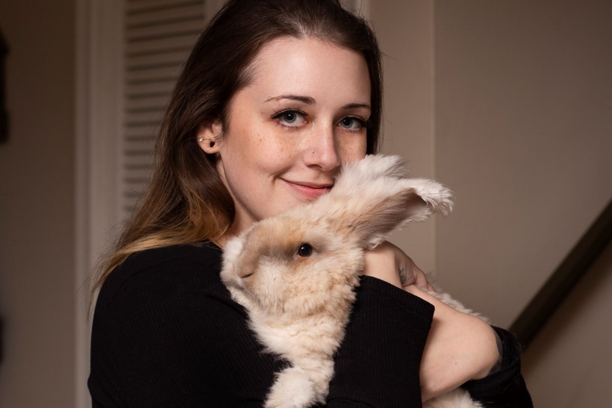 Local rabbit rescue looking for foster parents – Thorold News