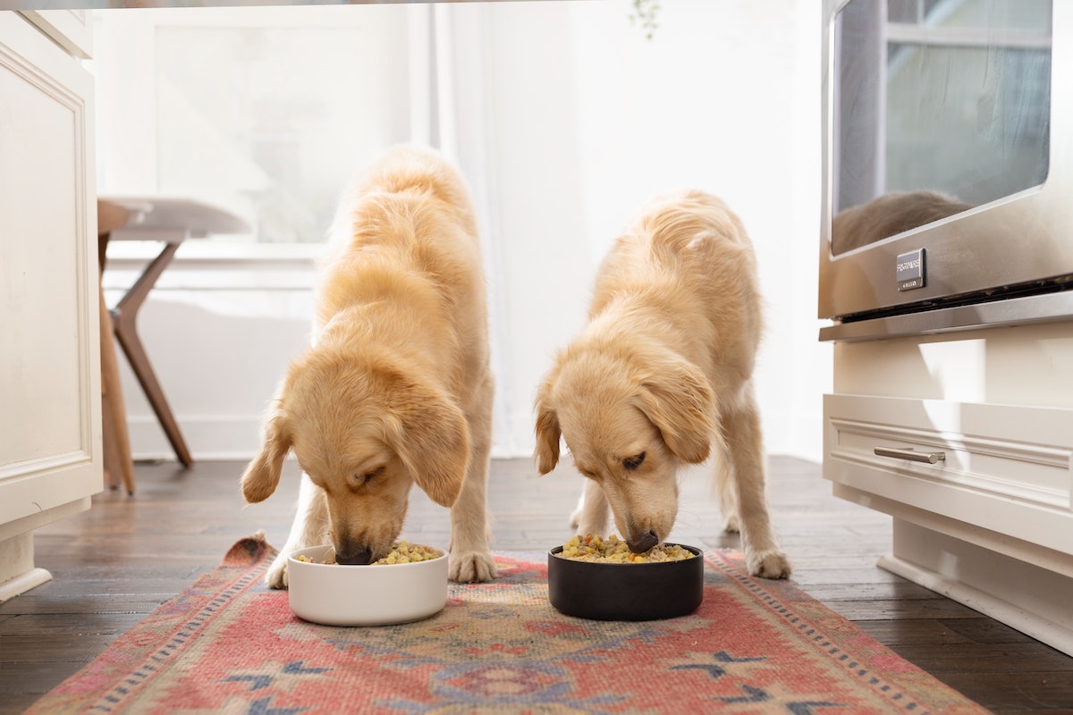 Nom Nom Dog Food Was Created By Vet Nutritionists & Made With Whole Food Ingredients – Bustle