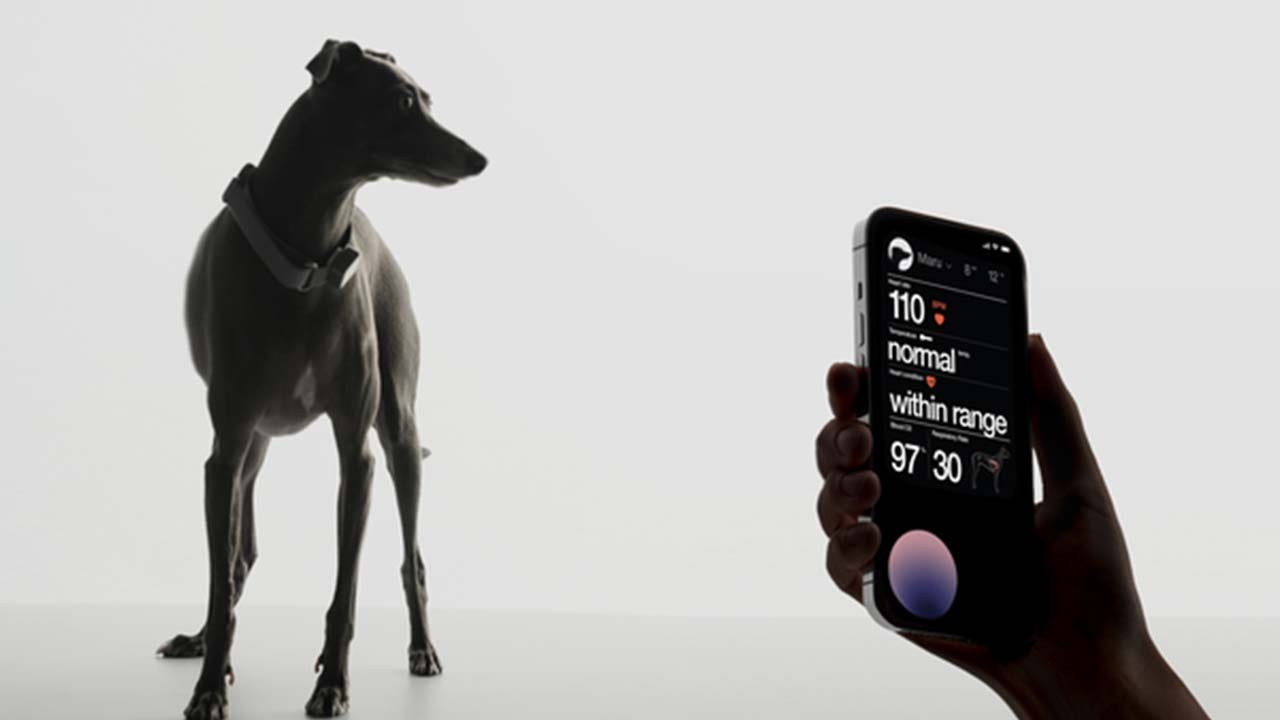 CES 2023: AI smart collar aims to take the guesswork out of your dog’s health with real-time alerts – FOX 10 News Phoenix