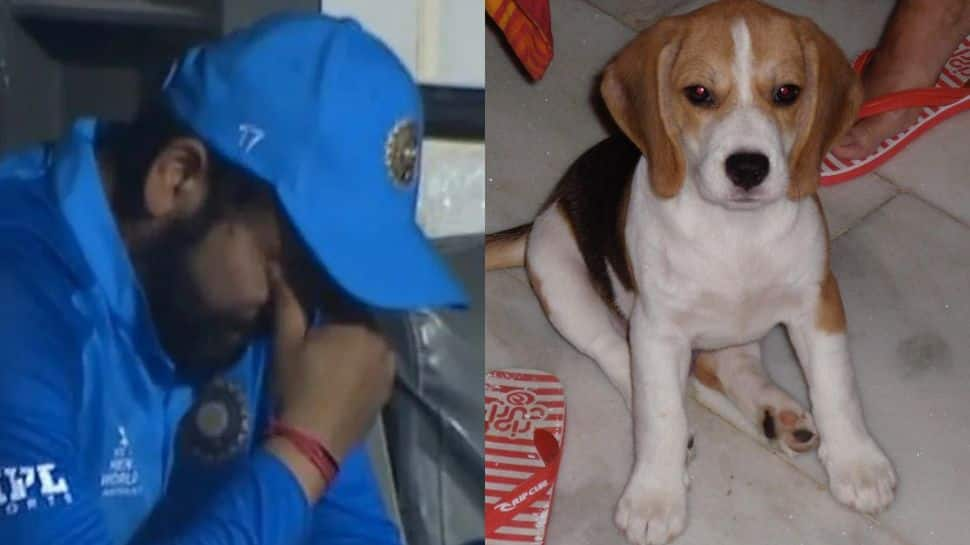 Rohit Sharma`s pet dog passes away, wife Ritika Sajdeh pens down emotional message – Check Pics – Zee News