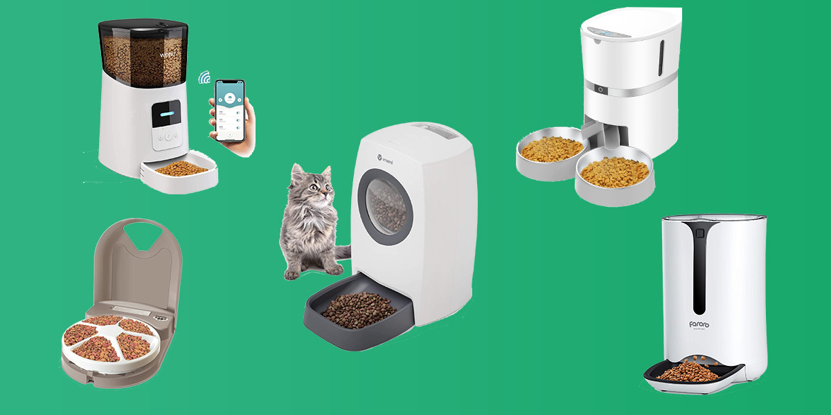 The Best Automatic Pet Feeders of 2023 – Futurism