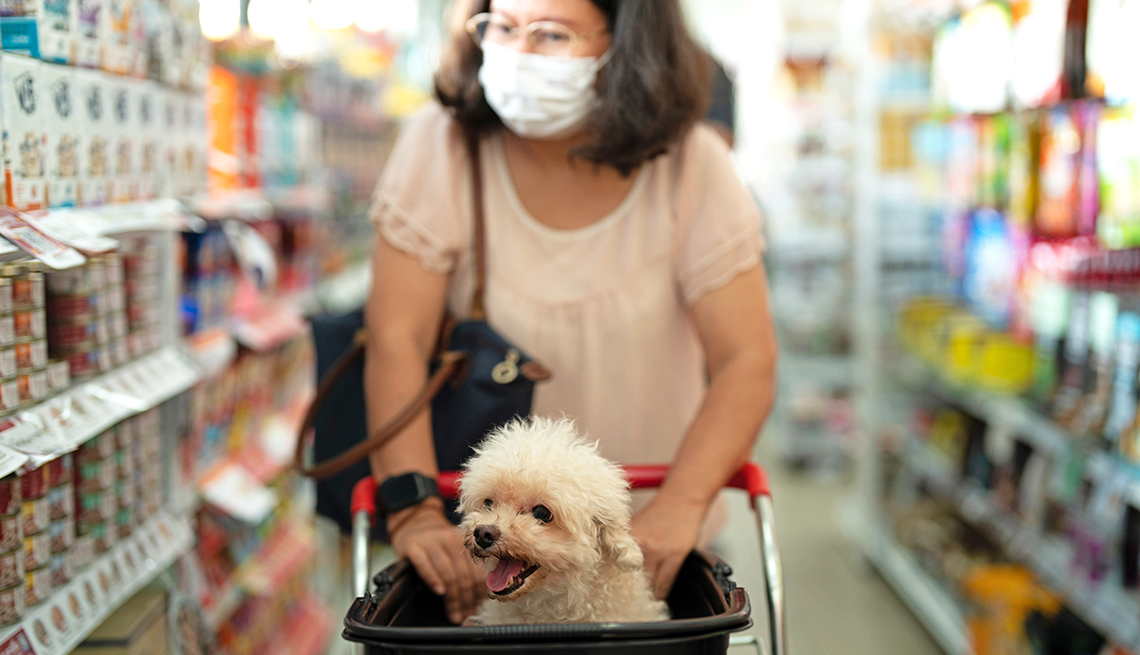 How to Keep Your Pets Healthy for Less Money – AARP