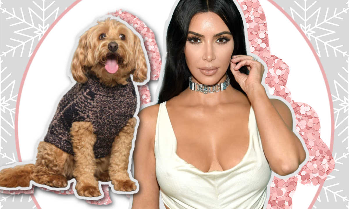 Kim Kardashian just launched SKIMS for dogs – yes, really – HELLO!