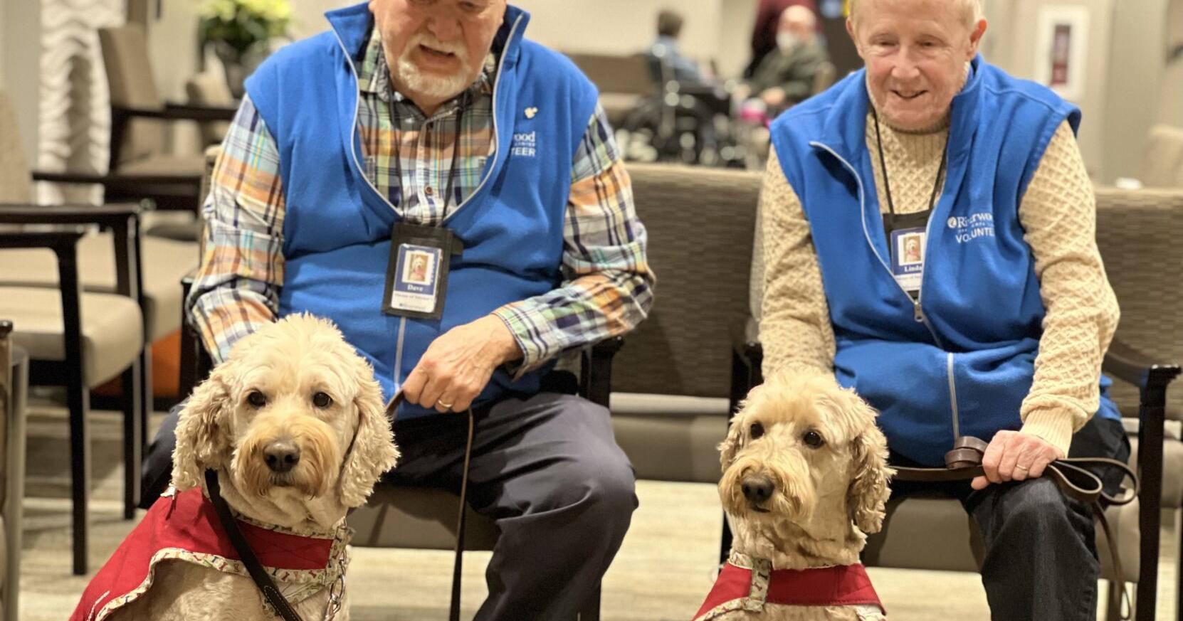 Therapy dogs bring cheer, comfort | Mille Lacs Messenger … – Aitkin Independent Age