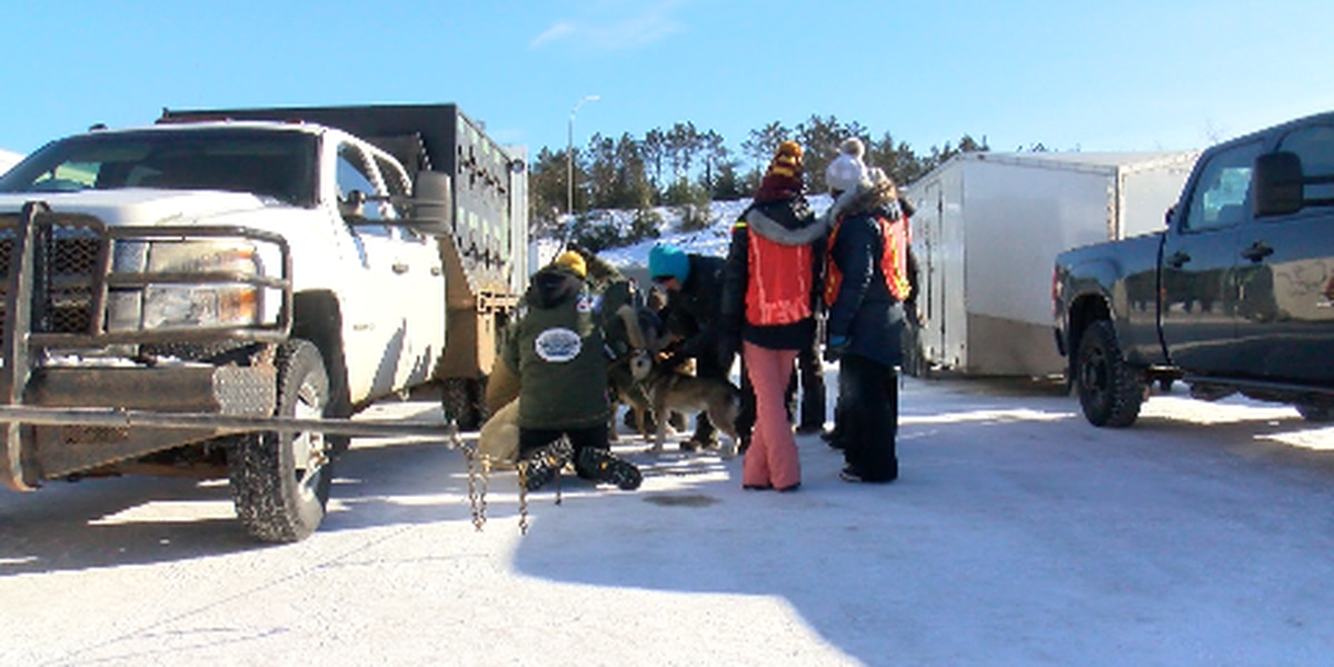 Vets check every paw ahead of the John Beargrease Sled Dog Marathon – WLUC