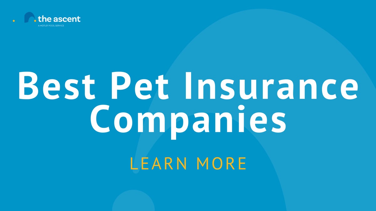 Best Pet Insurance Companies in February 2023 – The Motley Fool