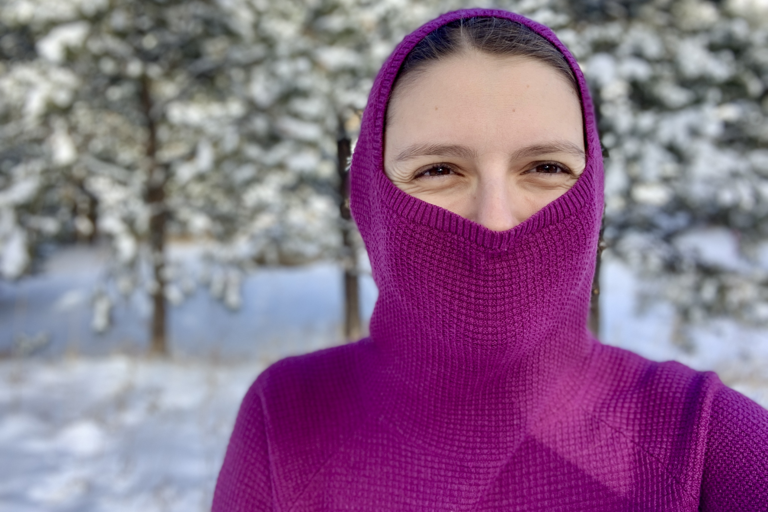 Eddie Bauer Thermal Hooded Sweater Review: Warm Waffle Knit … – GearJunkie