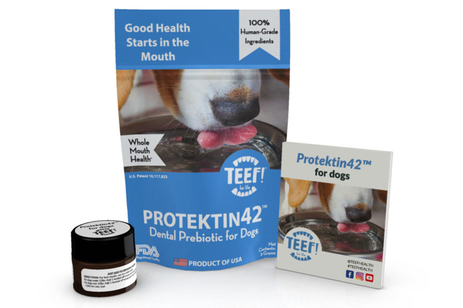 TEEF for Life teases new products for dogs, cats – Pet Food Processing